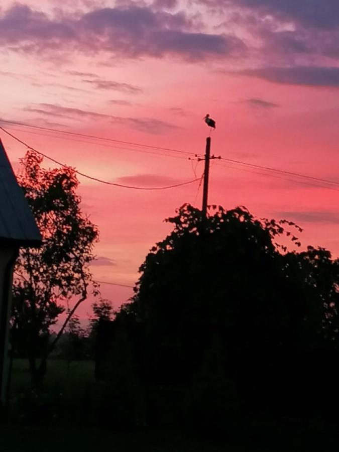 Dom I Pokoje Goscinne Zaruby เซย์นี ภายนอก รูปภาพ