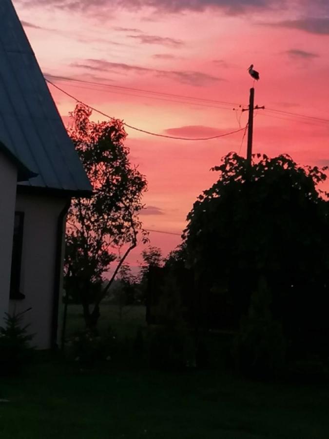 Dom I Pokoje Goscinne Zaruby เซย์นี ภายนอก รูปภาพ
